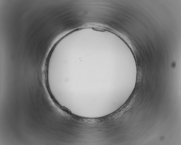 X0000116321003201001130959