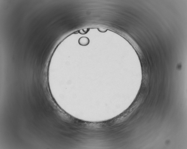 X0000116321004201001130959