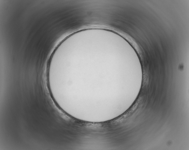 X0000116321006201001130959