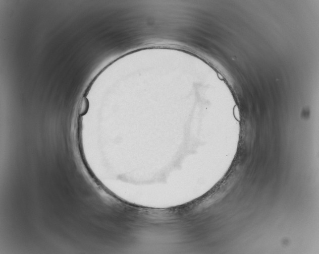 X0000116321007201001130959