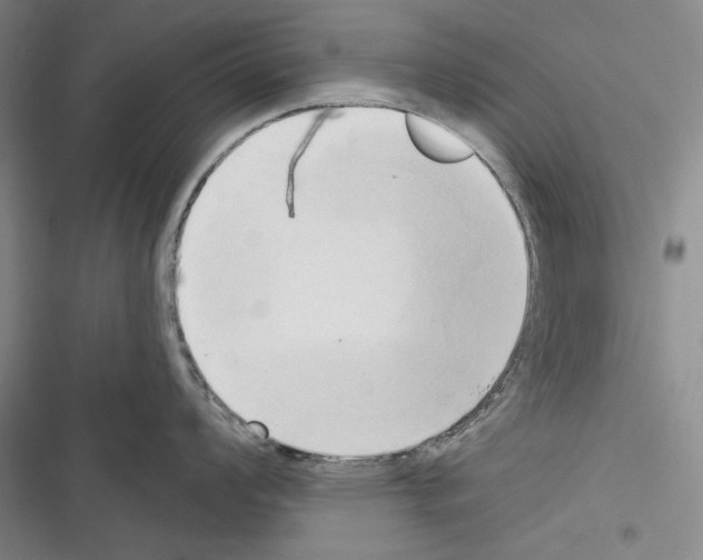 X0000116321008201001130959