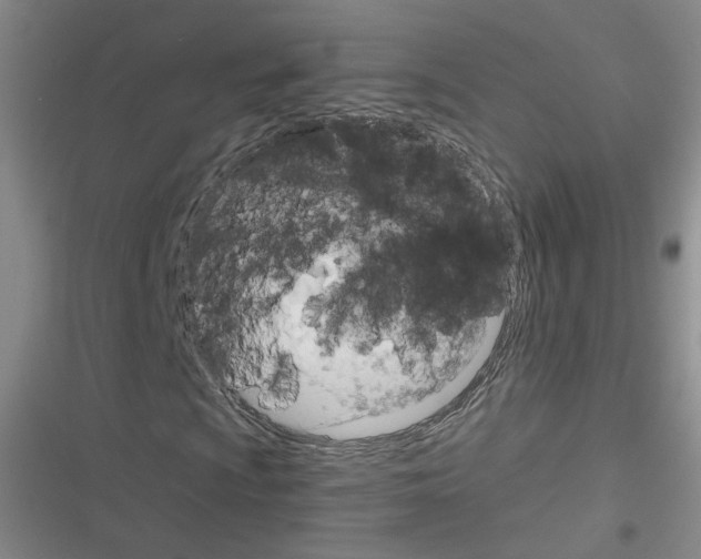 X0000116321009201001130959