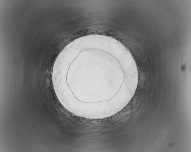 X0000116321010201001130959