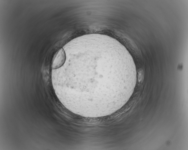 X0000116321011201001130959