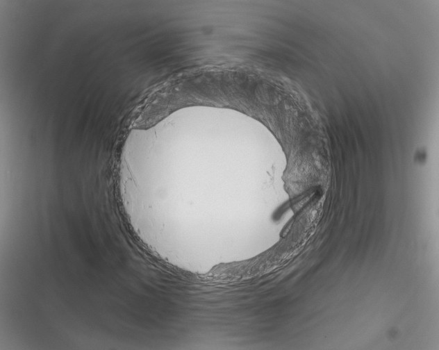 X0000116321012201001130959