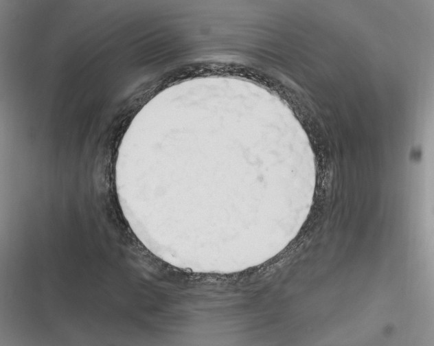 X0000116321014201001130959