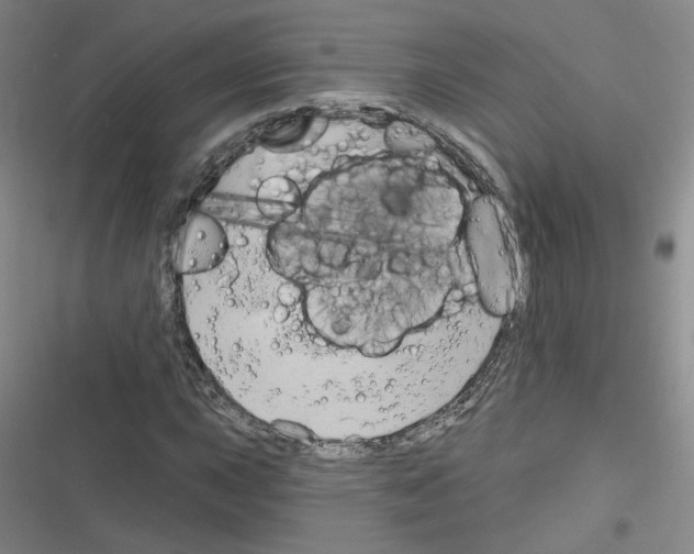 X0000116321015201001130959