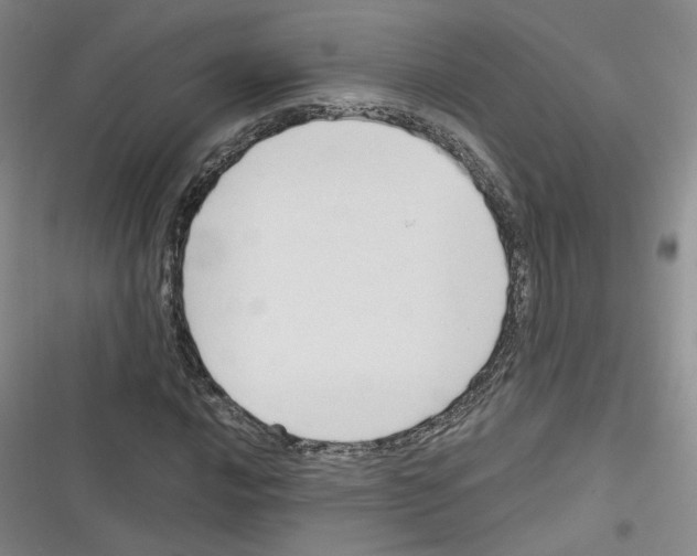 X0000116321016201001130959