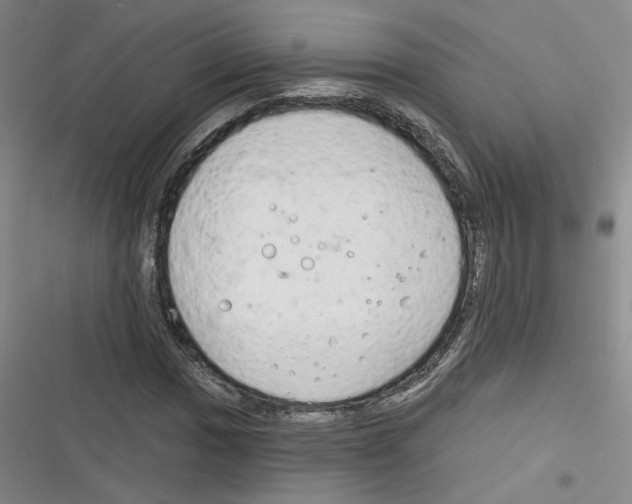 X0000116321017201001130959