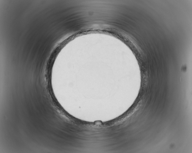 X0000116321018201001130959