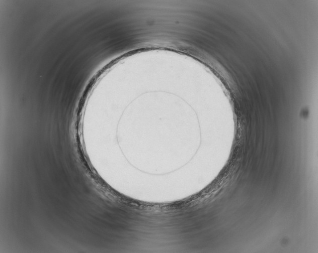 X0000116321020201001130959