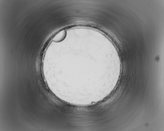 X0000116321021201001130959