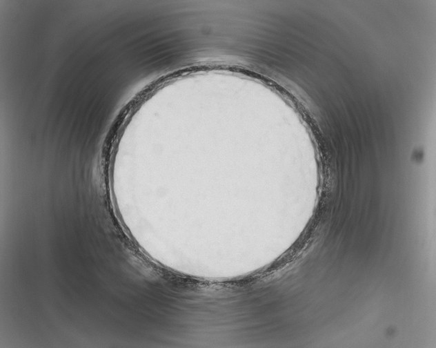 X0000116321022201001130959