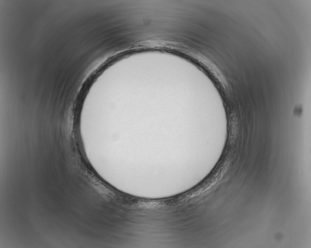 X0000116321023201001130959