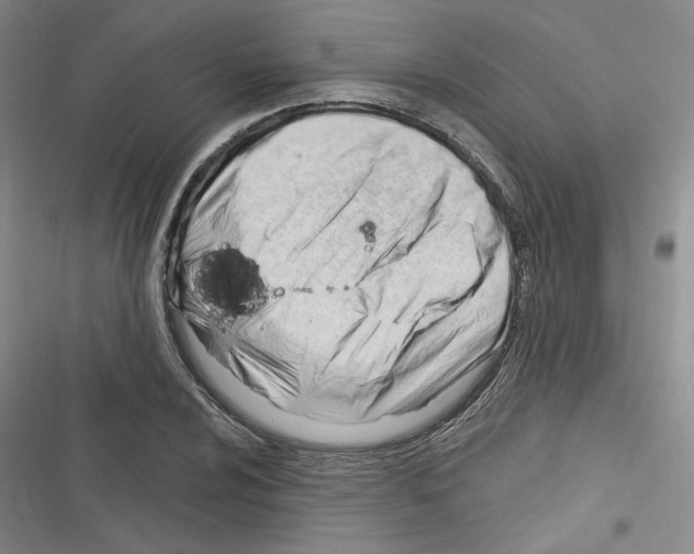 X0000116321024201001130959