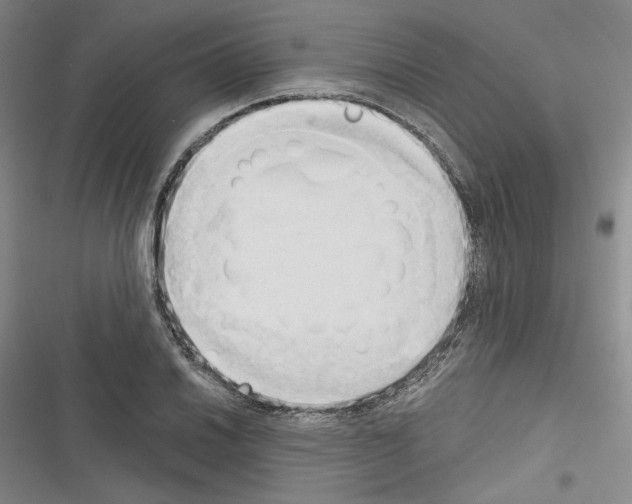 X0000116321030201001130959