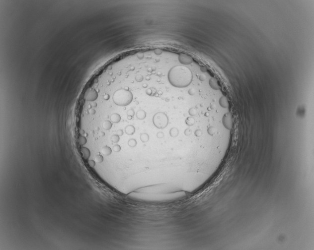 X0000116321031201001130959