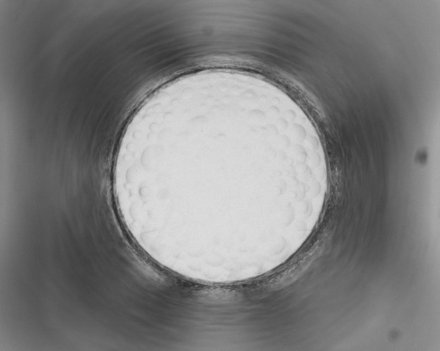 X0000116321033201001130959