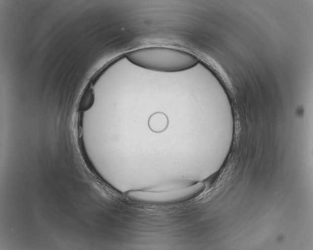 X0000116321035201001130959