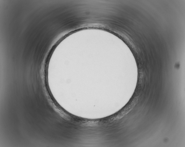 X0000116321038201001130959