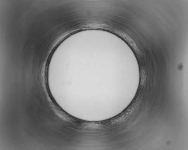 X0000116321039201001130959