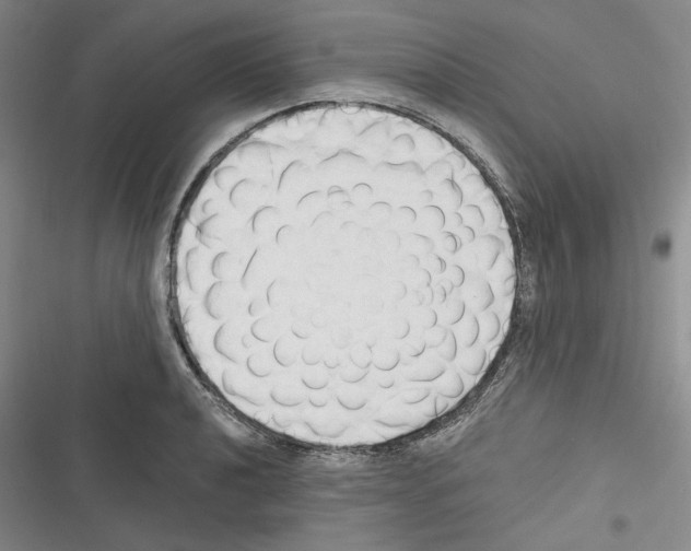 X0000116321040201001130959