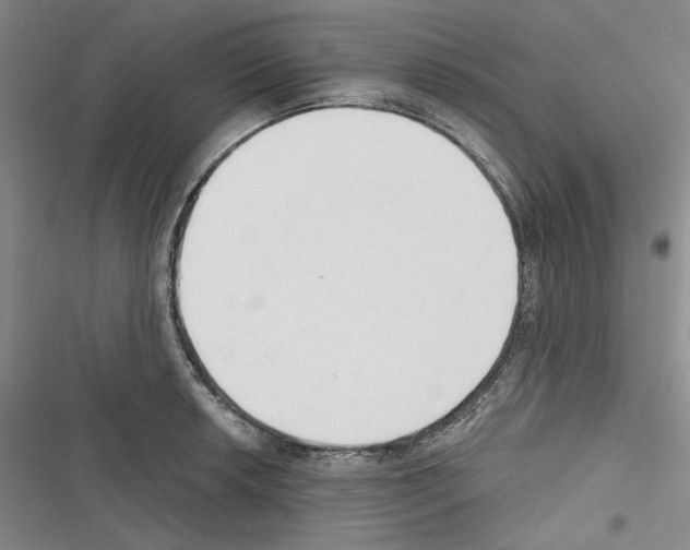 X0000116321042201001130959