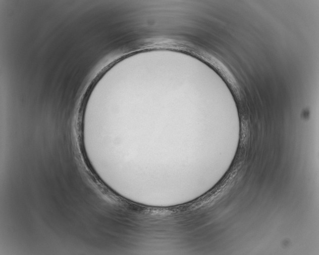 X0000116321043201001130959