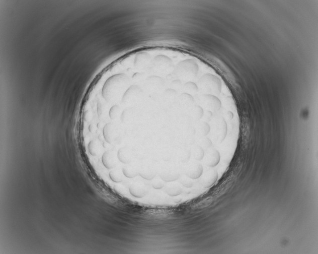 X0000116321044201001130959