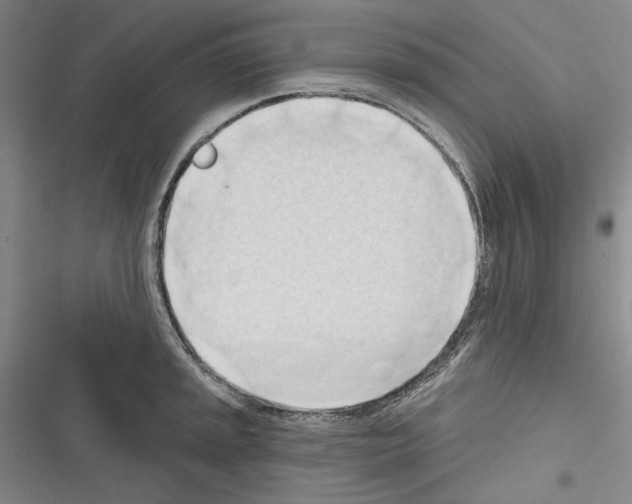 X0000116321045201001130959