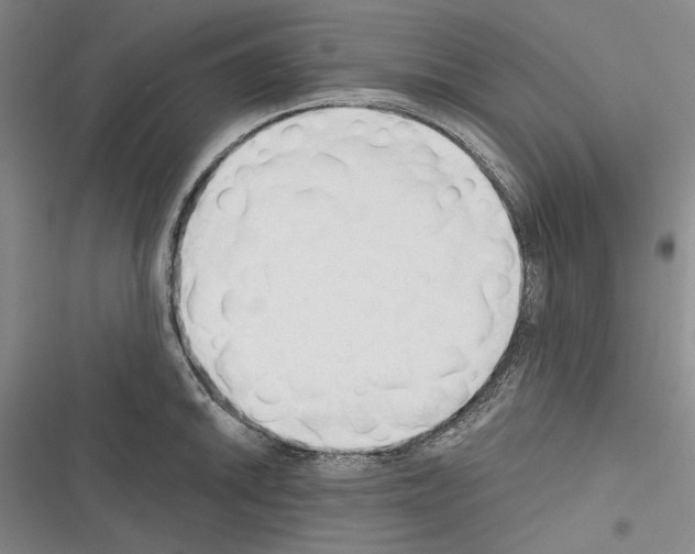 X0000116321046201001130959