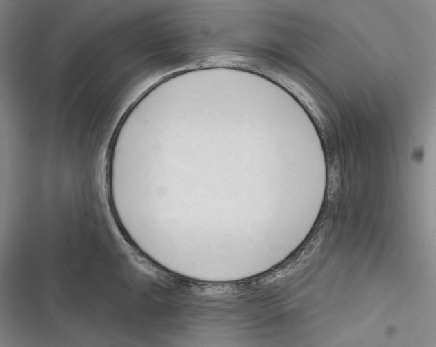 X0000116321047201001130959