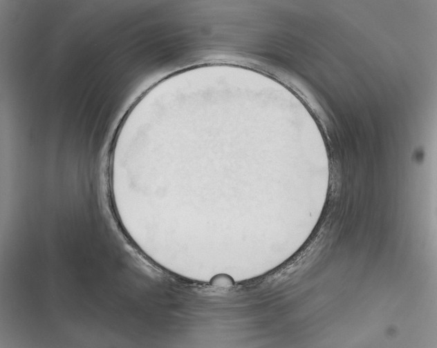 X0000116321048201001130959