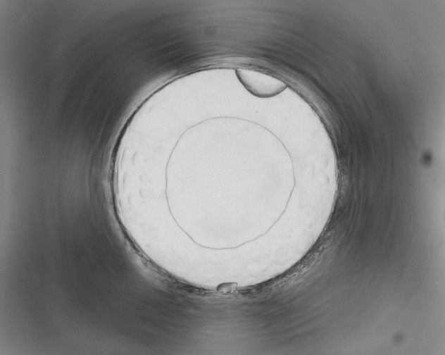 X0000116321050201001130959