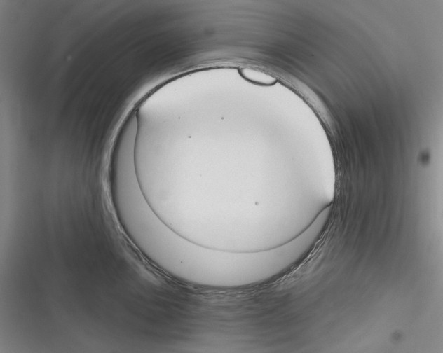 X0000116321051201001130959