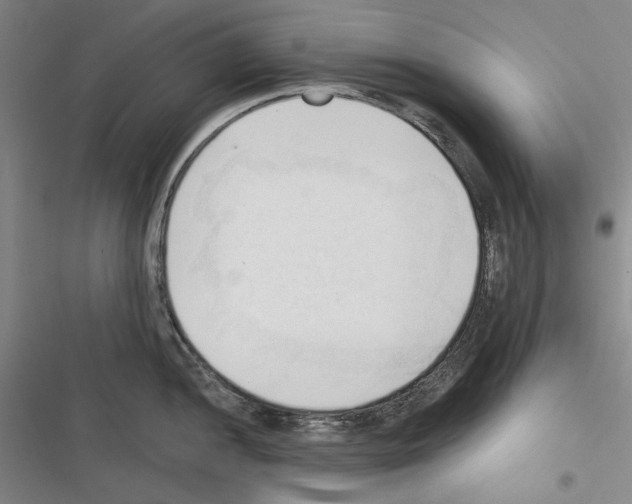 X0000116321052201001130959