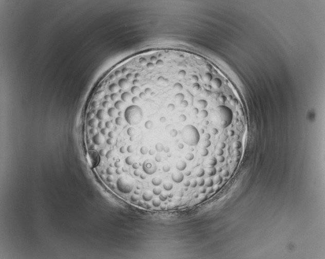 X0000116321053201001130959