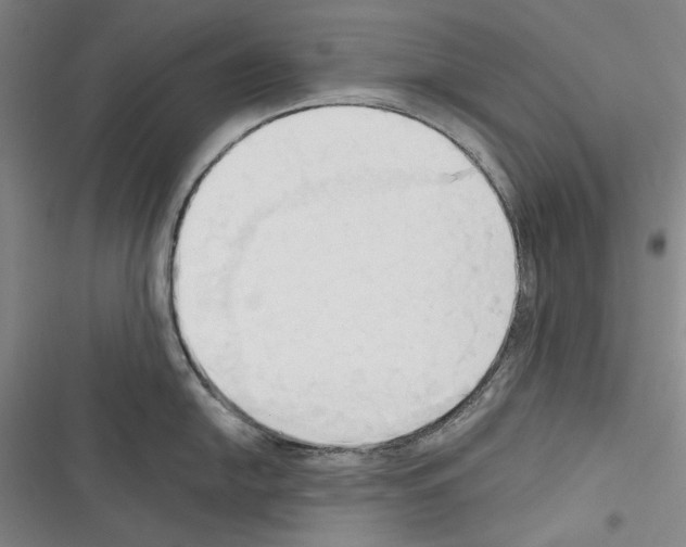 X0000116321054201001130959