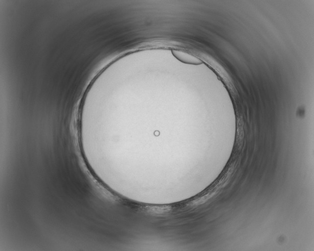 X0000116321055201001130959