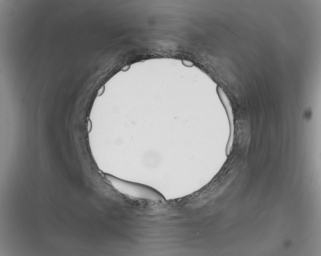 X0000116321057201001130959