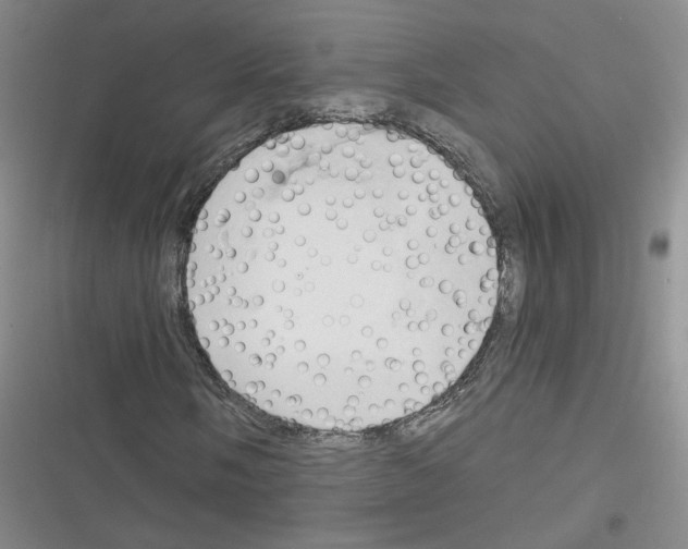 X0000116321058201001130959