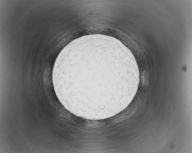 X0000116321059201001130959