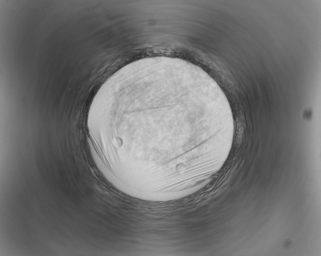 X0000116321060201001130959