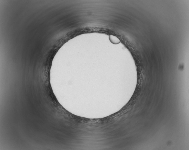 X0000116321062201001130959