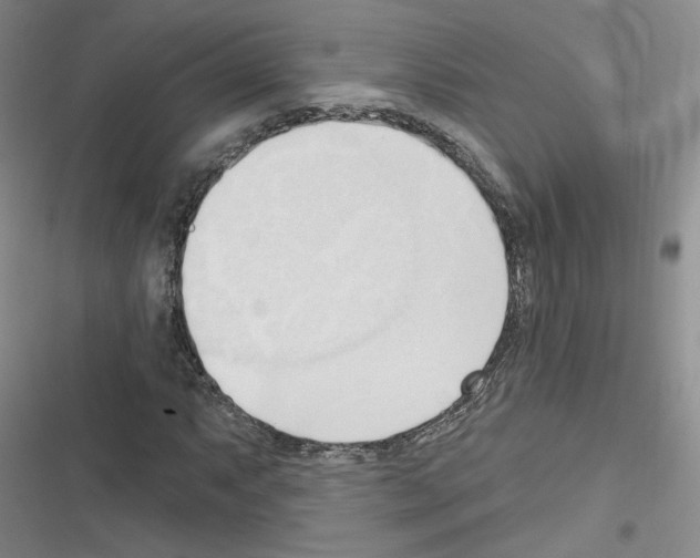 X0000116321063201001130959