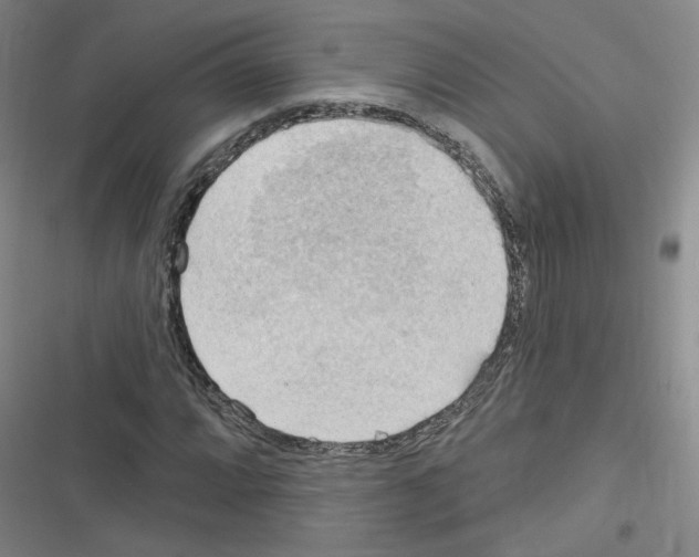 X0000116321064201001130959