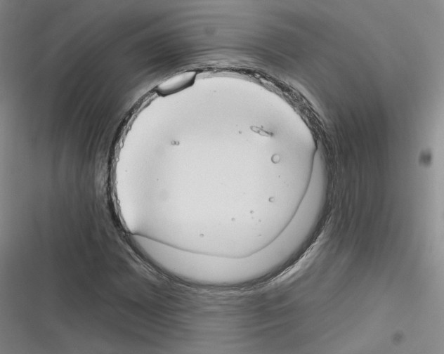 X0000116321065201001130959