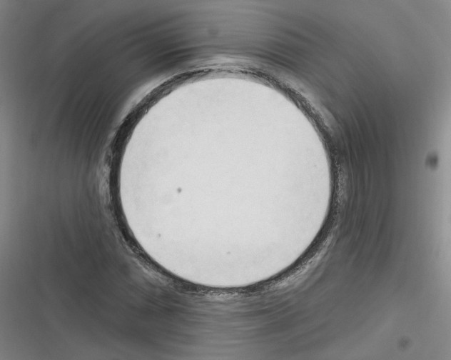 X0000116321066201001130959