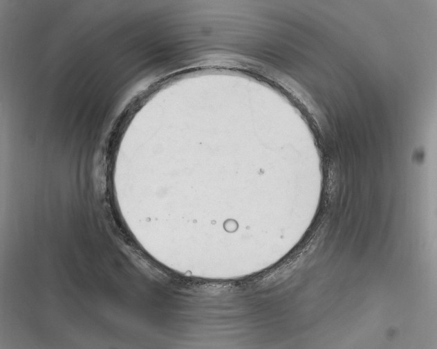 X0000116321067201001130959