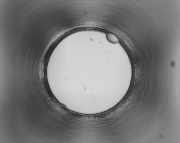 X0000116321069201001130959